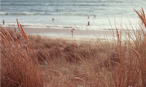 hermine plage dune